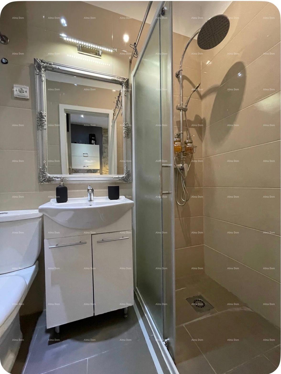 Apartment Zu verkaufen - ISTARSKA PULA