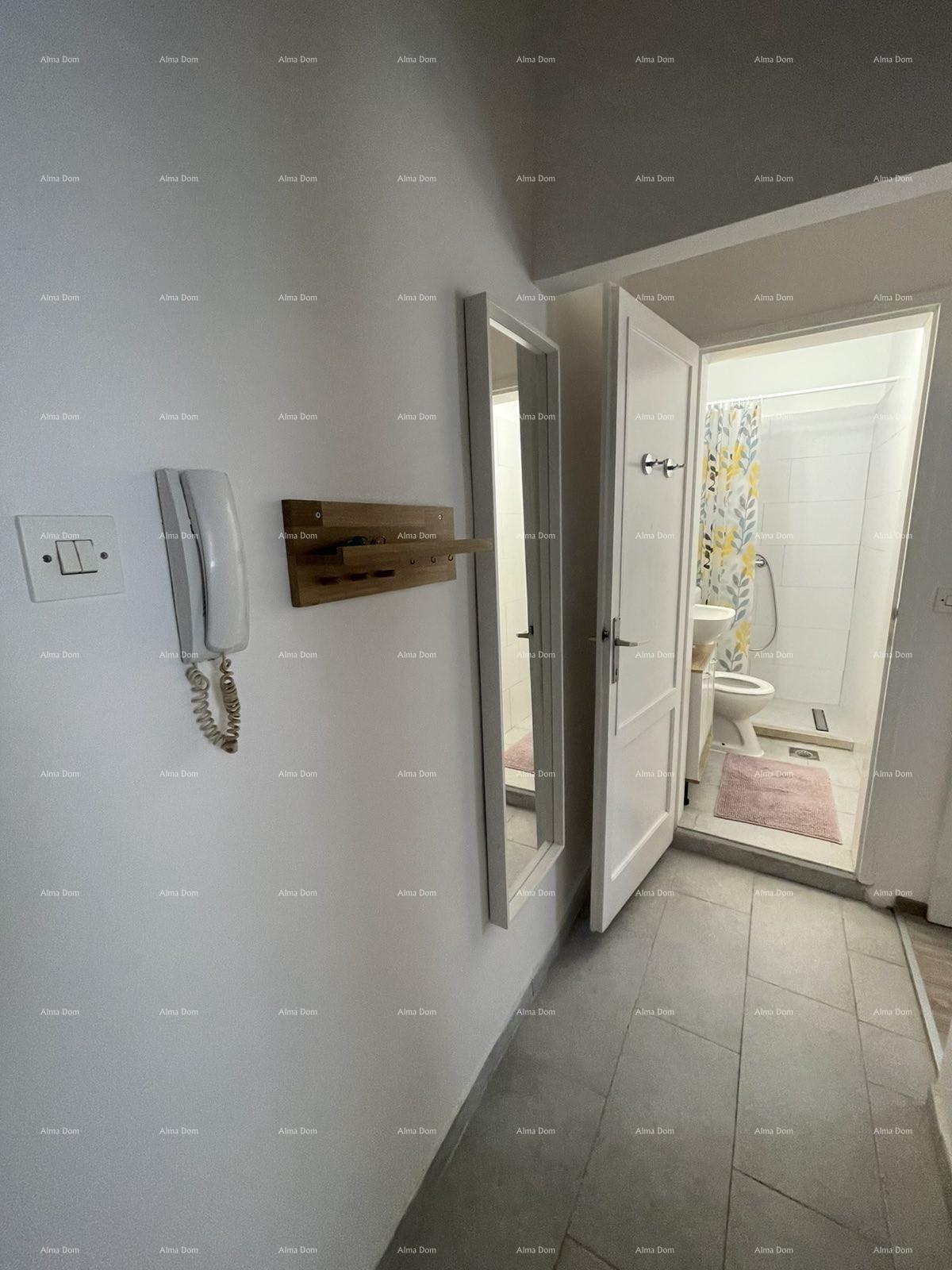 Apartment Zu verkaufen - ISTARSKA PULA