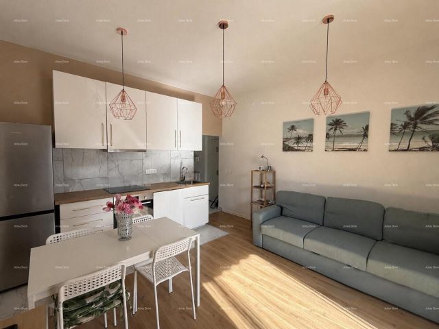 Flat For sale NOVIGRAD
