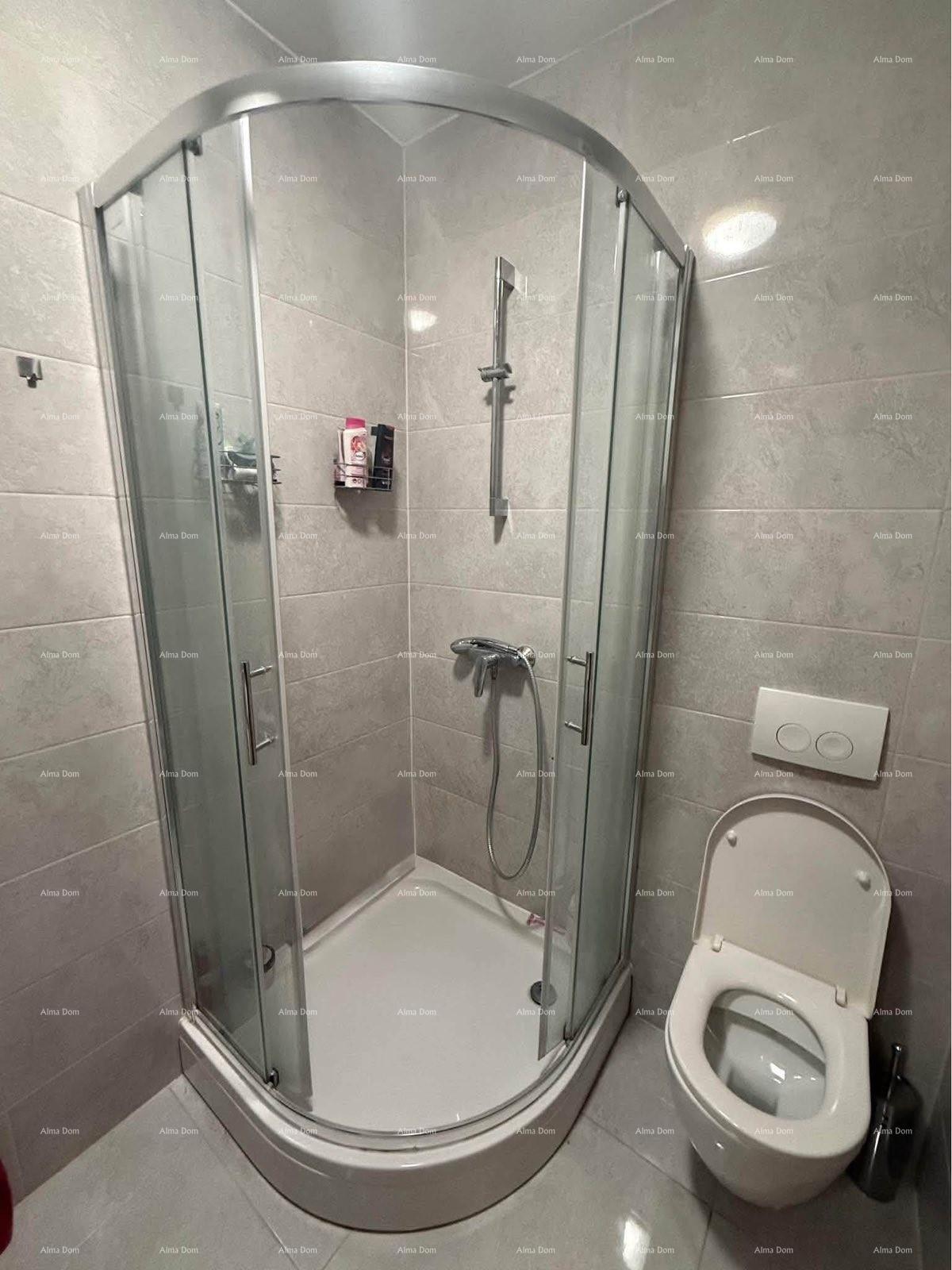 Flat For sale - ISTARSKA MEDULIN