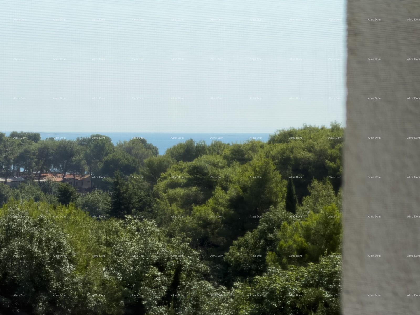 Flat For sale - ISTARSKA MEDULIN