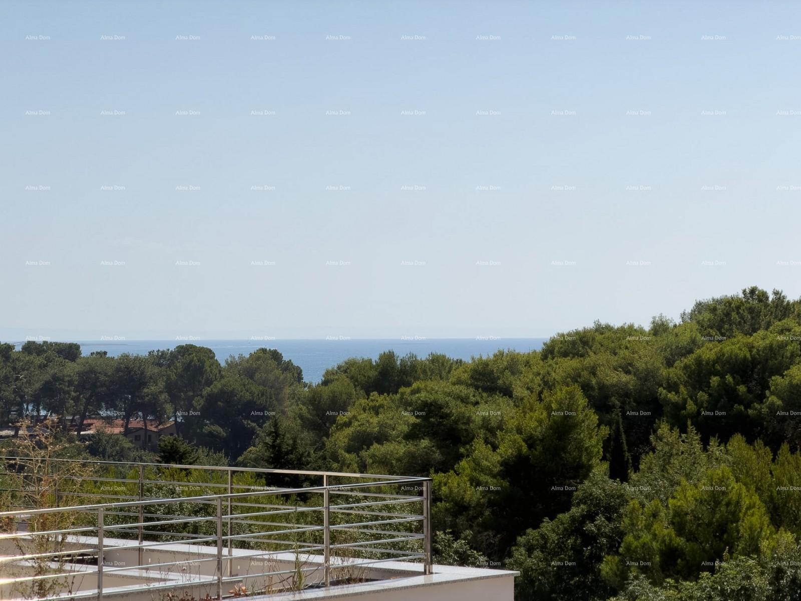 Flat For sale - ISTARSKA MEDULIN