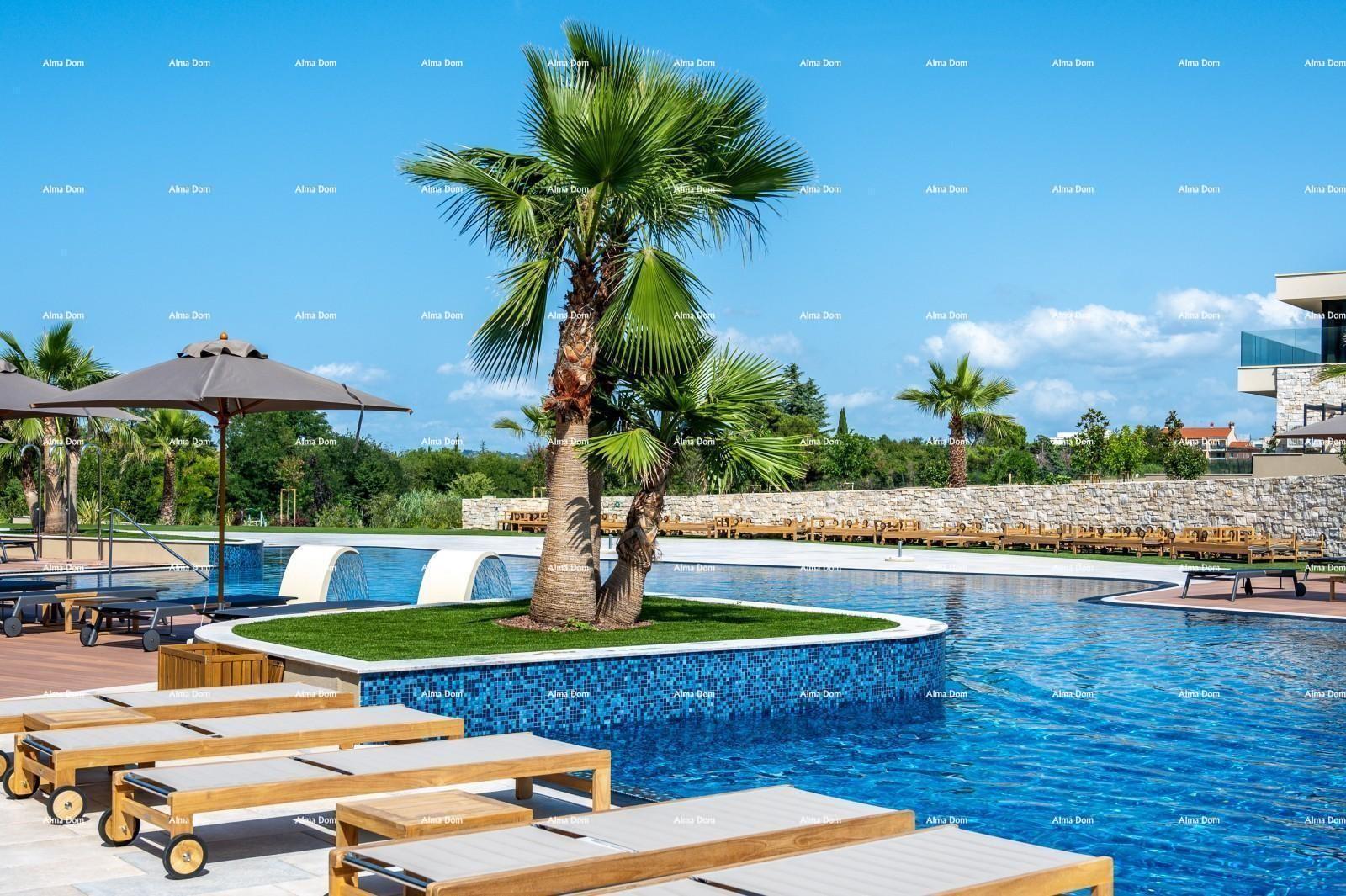 Dom Na predaj - ISTARSKA UMAG