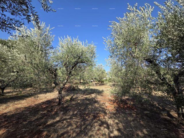Terreno in vendita – Loborika