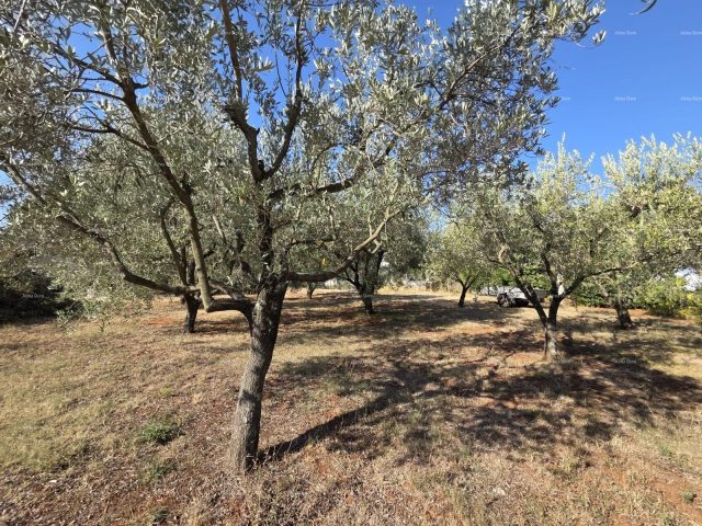 Terreno in vendita 1222 m² – Loborika