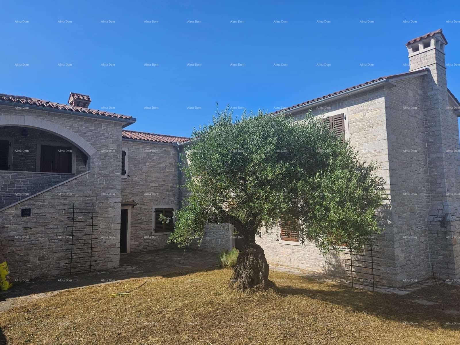 Kuća Na prodaju - Istarska Tinjan - foto 2/34