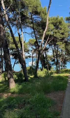 Apartmán na prodej 108 m² – Premantura