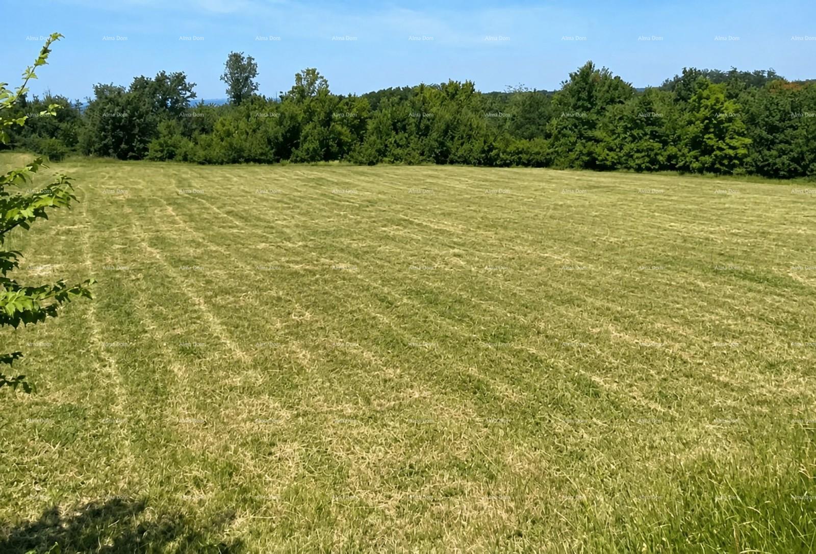Pozemek Na prodej - Istarska Tar-vabriga - foto 2/2