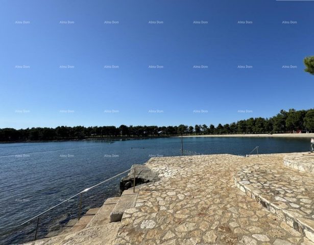Mieszkanie na sprzedaż 45 m² – Novigrad
