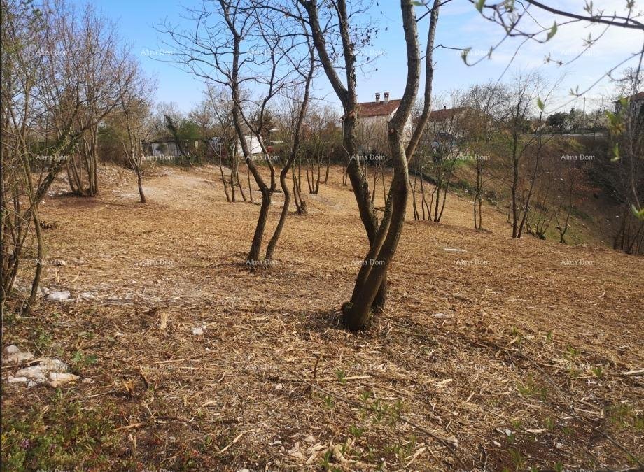 Terrain À vendre - ISTARSKA Svetvinčenat