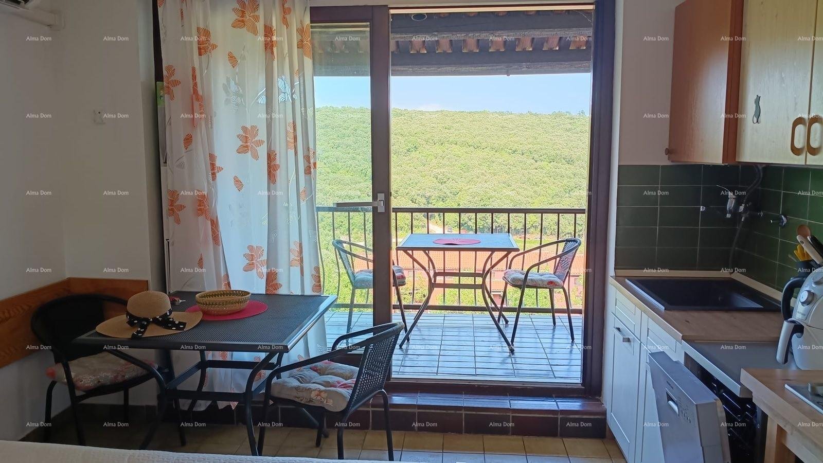 Appartamento In vendita - Istarska Marčana - foto 1/16