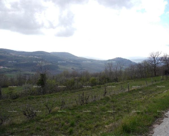 Terreno In vendita - Istarska Pazin - Okolica - foto 5/8