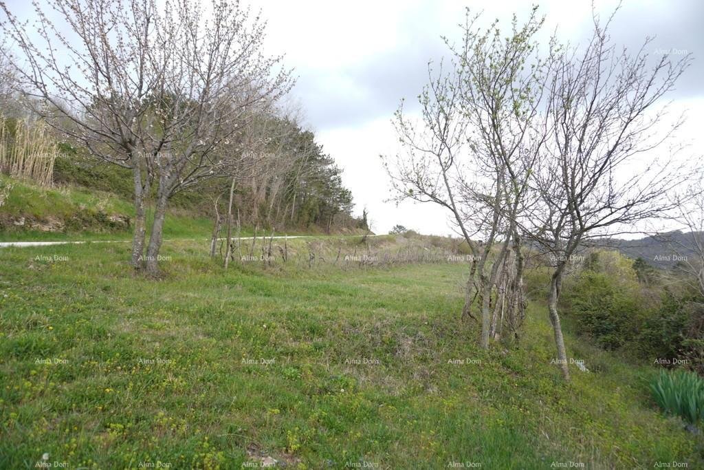 Parcela Na predaj - Istarska Pazin - Okolica - foto 2/7