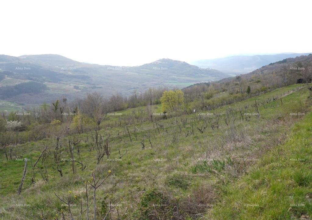 Parcela Na predaj - ISTARSKA PAZIN - OKOLICA