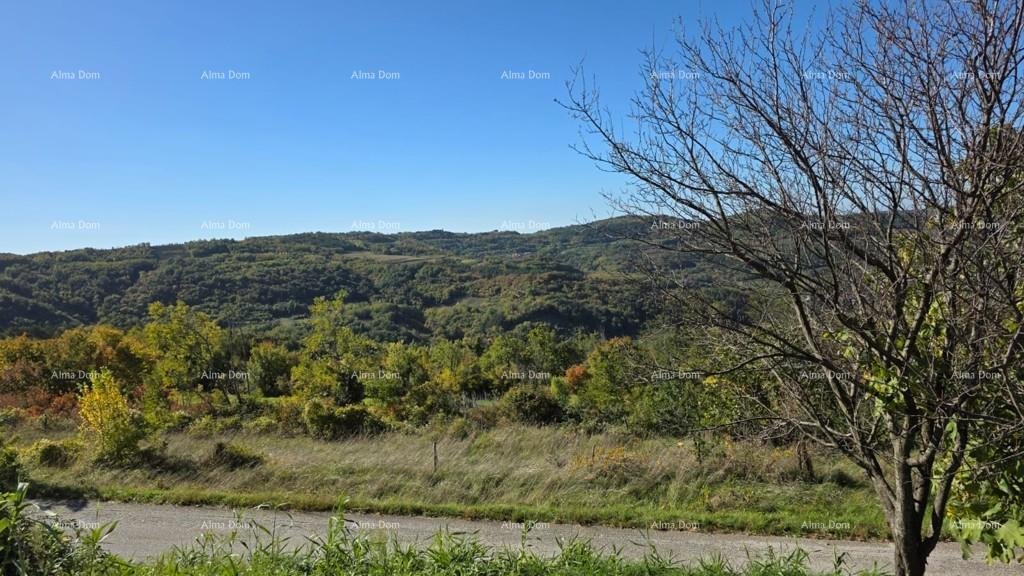 Terreno In vendita - ISTARSKA Pazin - Okolica