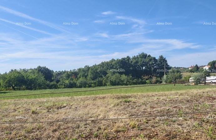 Działka Na sprzedaż - Istarska Višnjan - foto 1/1