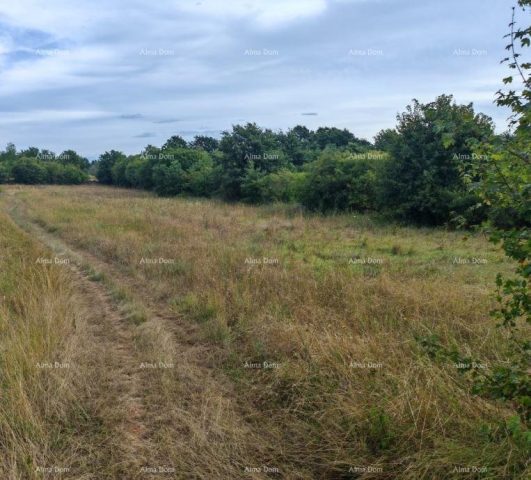 Terrain à vendre 1600 m² – Svetvinčenat