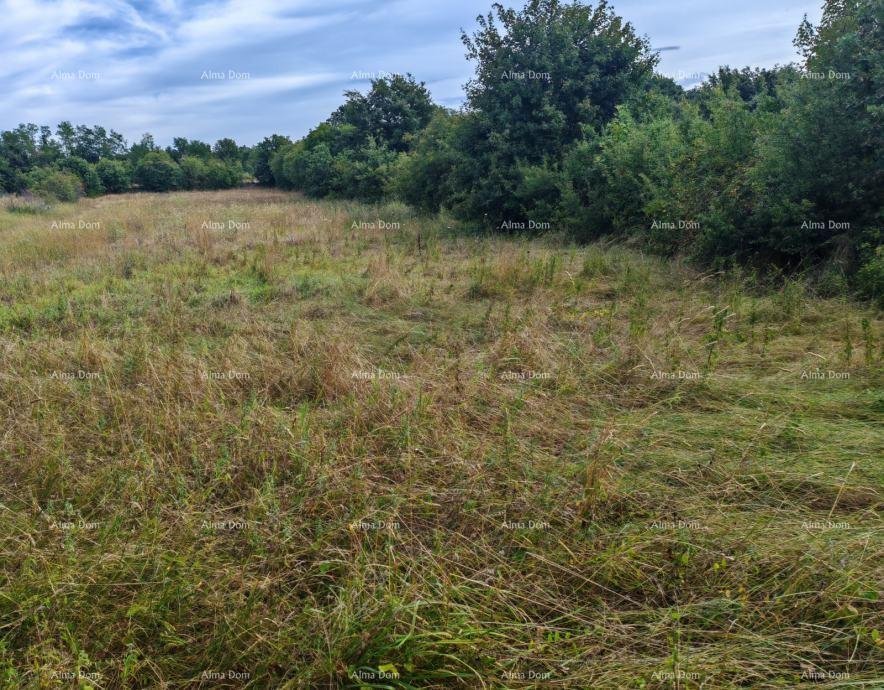Land For sale - Istarska Svetvinčenat - foto 2/2