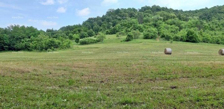 Hiša Naprodaj - Istarska Pazin - Okolica - foto 2/10