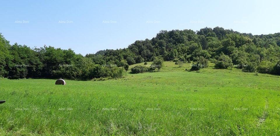 House For sale - Istarska Pazin - Okolica - foto 5/9