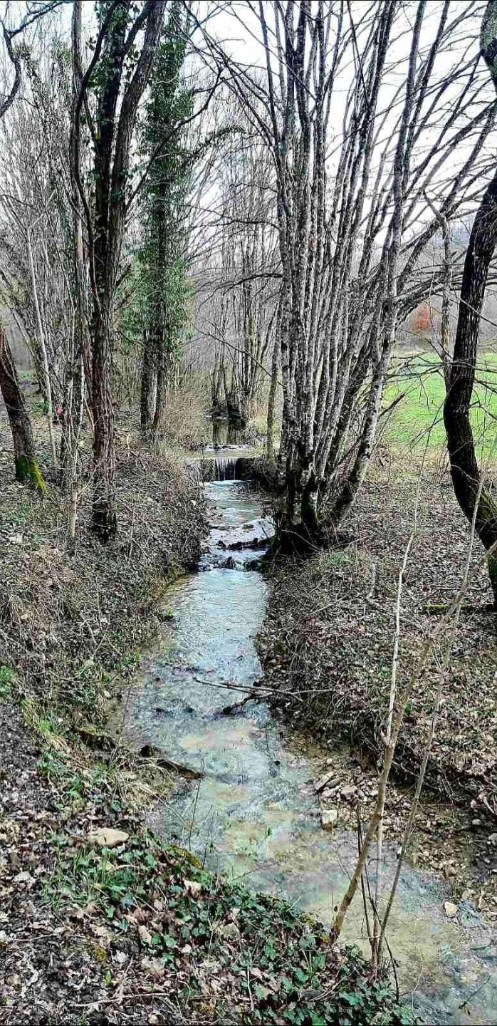 House For sale - ISTARSKA PAZIN - OKOLICA