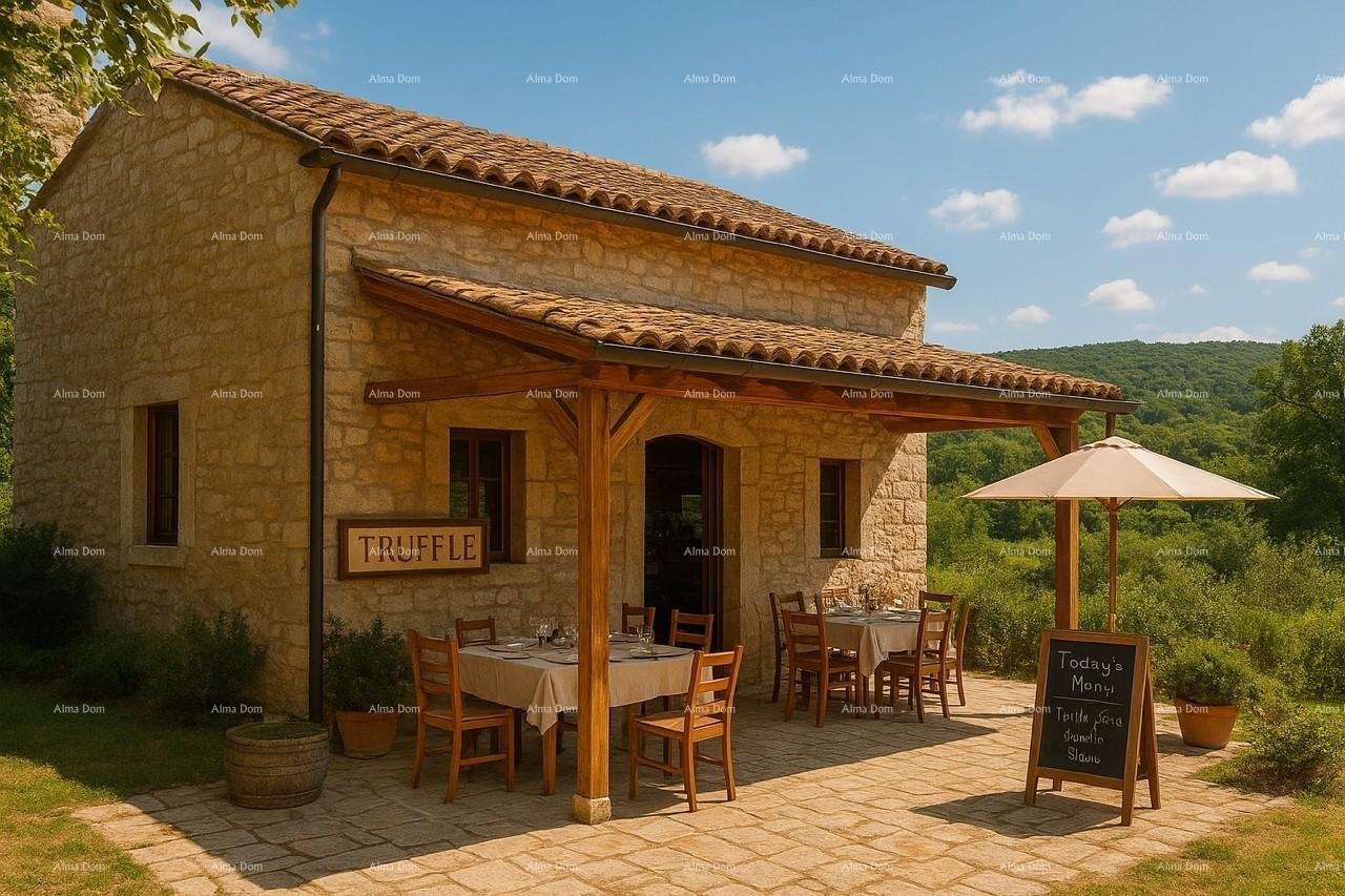 House For sale - ISTARSKA PAZIN - OKOLICA