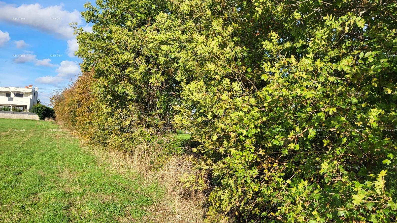 Terreno In vendita - ISTARSKA MARčANA