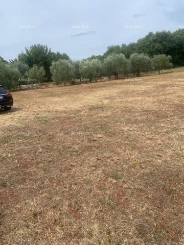 Grundstück zu verkaufen 2470 m² – Brtonigla