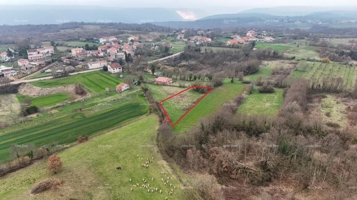 Grundstück zu verkaufen 1186 m² – Barban