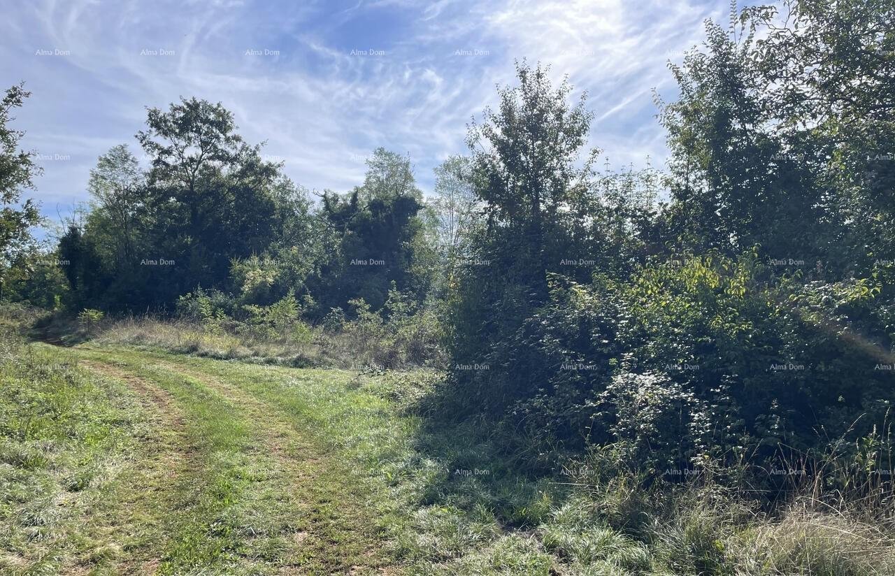 Maison À vendre - ISTARSKA Oprtalj