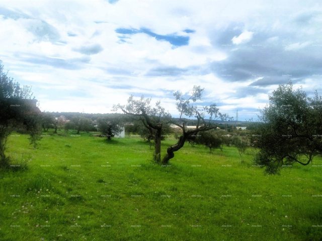 Parcela Naprodaj - Istarska Pula - foto 5/5