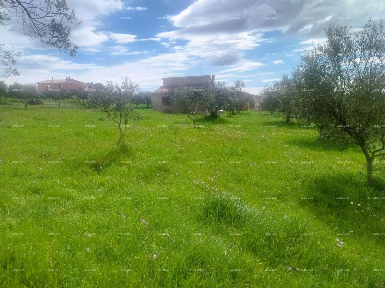 Parcela Naprodaj - ISTARSKA Pula