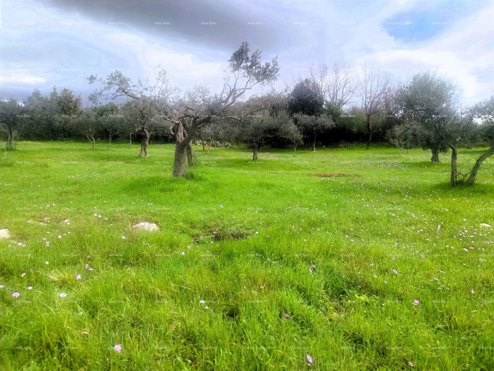 Parcela Naprodaj - ISTARSKA Pula