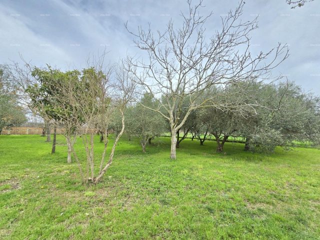 Maison À vendre - Istarska Pula - foto 2/14