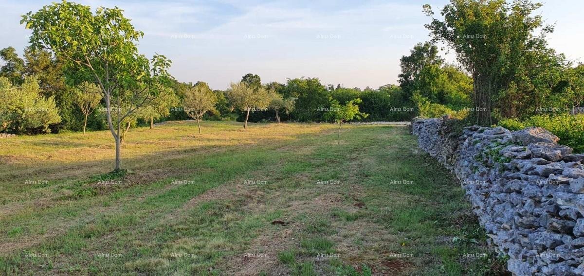 Land For sale - ISTARSKA Marčana