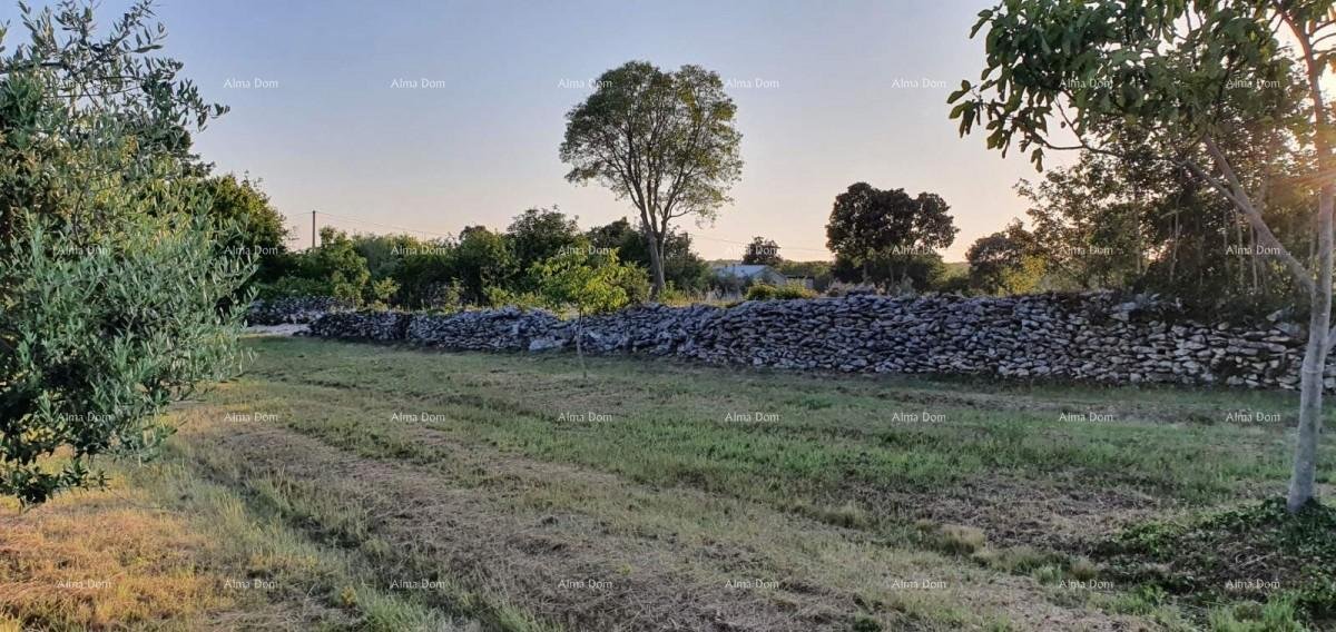 Land For sale - ISTARSKA Marčana