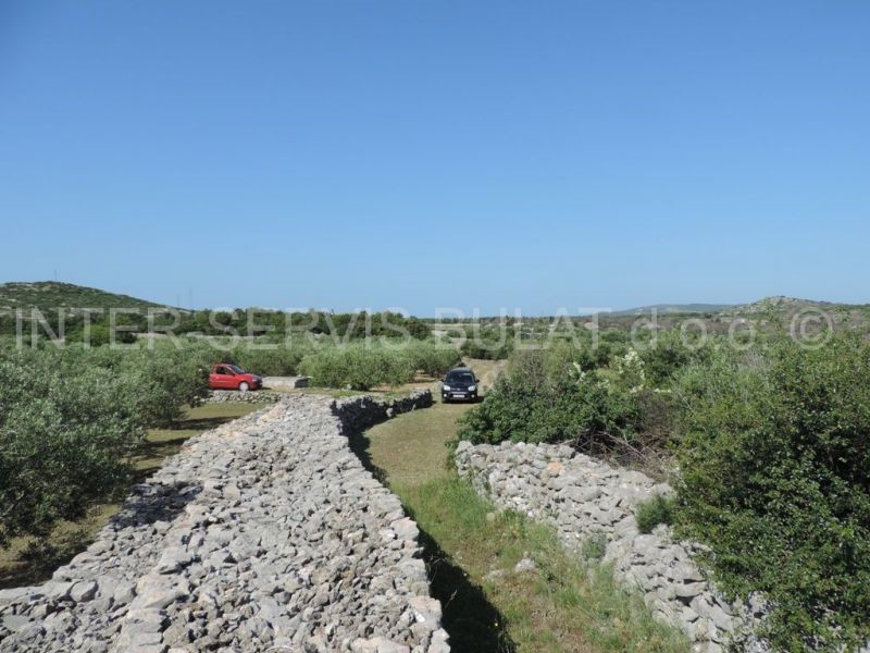 Land For sale - ŠIBENSKO-KNINSKA  ŠIBENIK 