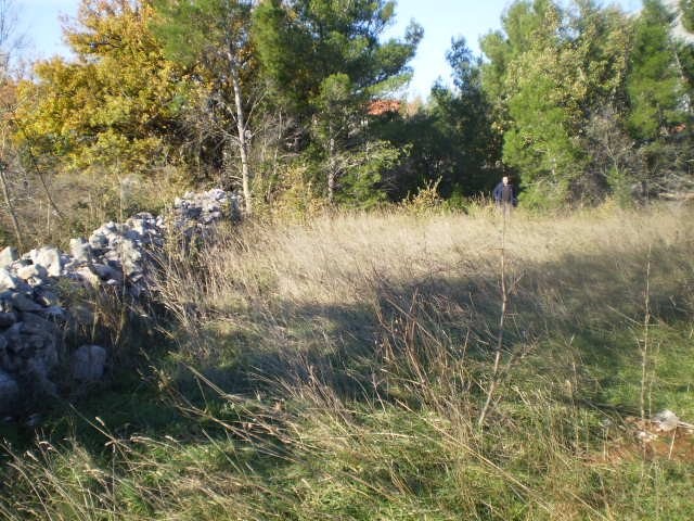 Terreno In vendita - ZADARSKA  STARIGRAD 