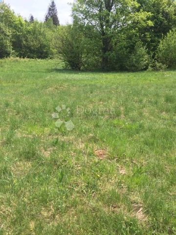 Terreno in vendita 6855 m² – Crni Lug
