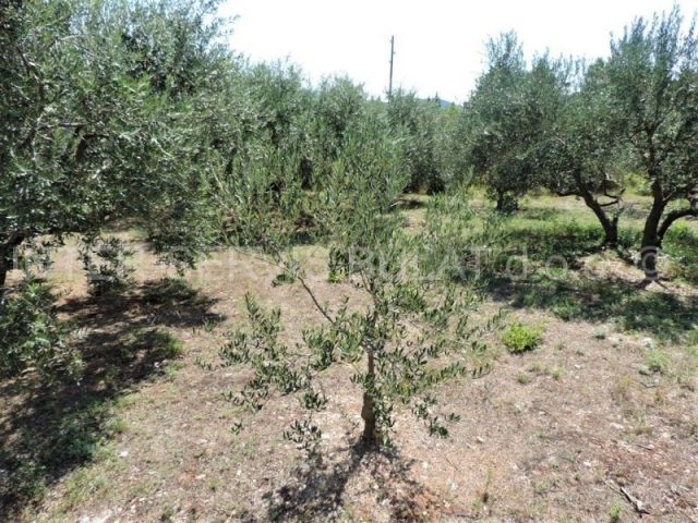 Land For sale - šibensko-kninska šibenik - foto 3/22