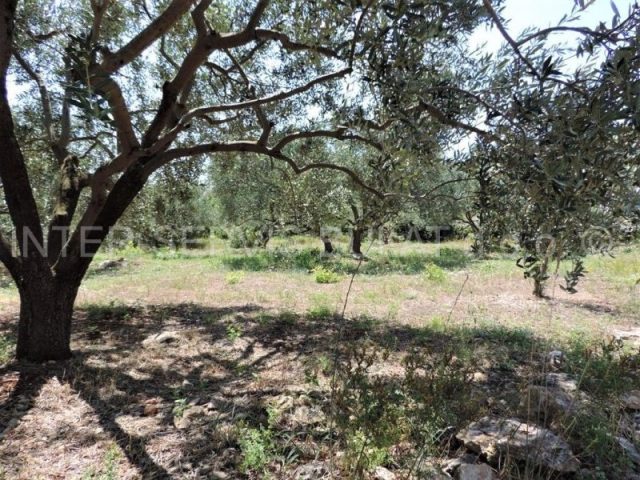 Land For sale - šibensko-kninska šibenik - foto 4/22