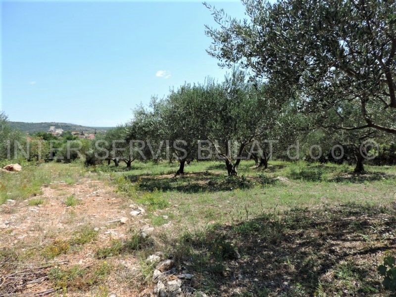 Terreno In vendita - ŠIBENSKO-KNINSKA  ŠIBENIK 