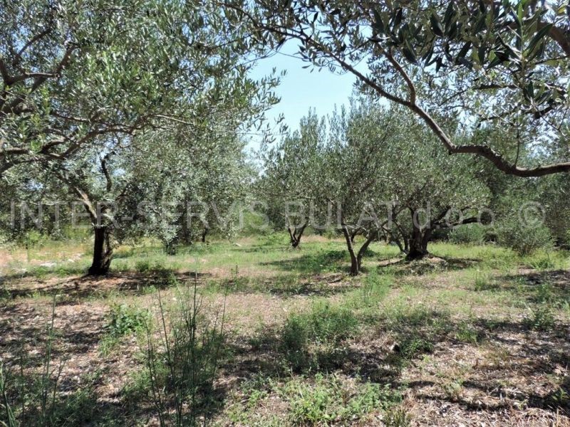 Terreno In vendita - ŠIBENSKO-KNINSKA  ŠIBENIK 