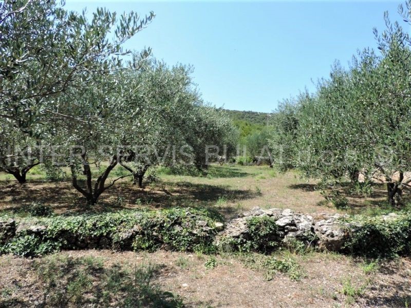 Terreno In vendita - ŠIBENSKO-KNINSKA  ŠIBENIK 