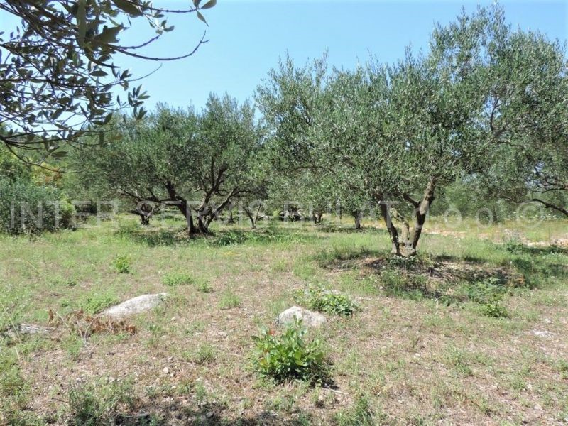 Terreno In vendita - ŠIBENSKO-KNINSKA  ŠIBENIK 