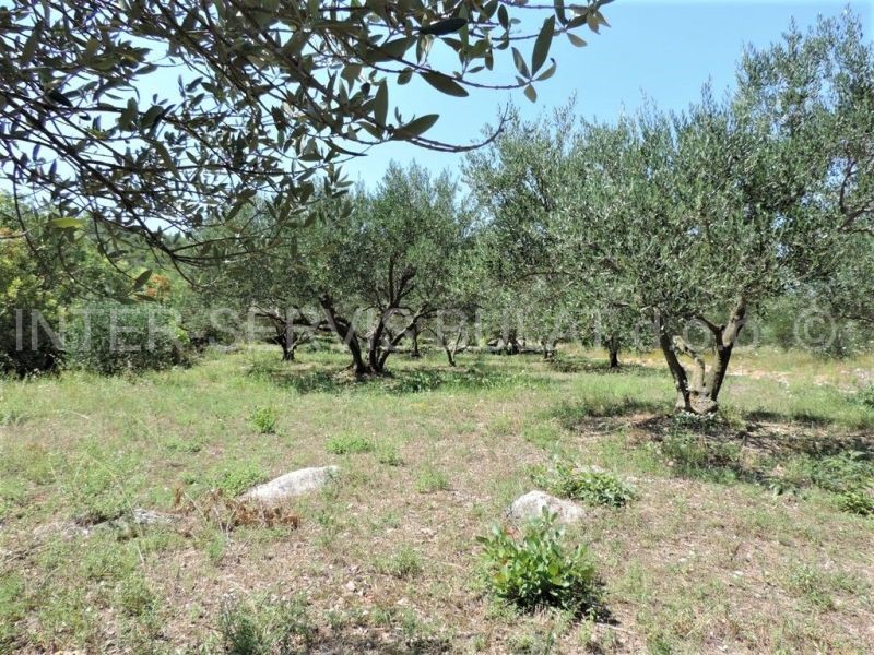 Terreno In vendita - ŠIBENSKO-KNINSKA  ŠIBENIK 