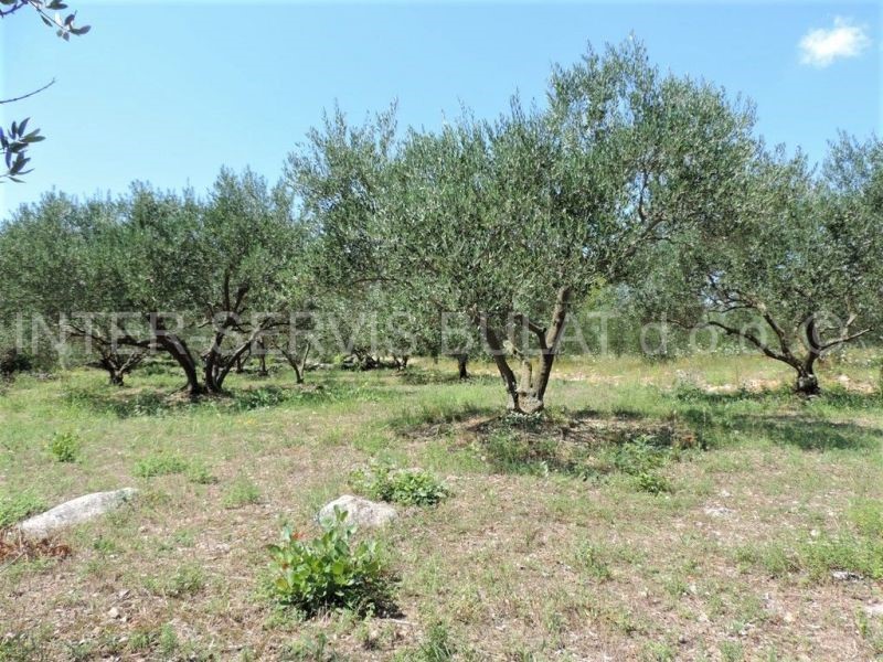 Terreno In vendita - ŠIBENSKO-KNINSKA  ŠIBENIK 