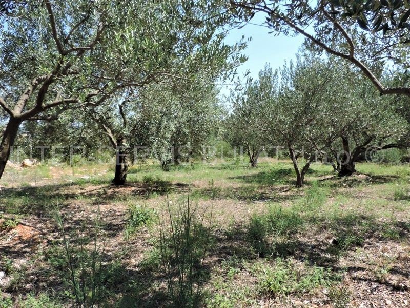 Terreno In vendita - ŠIBENSKO-KNINSKA  ŠIBENIK 
