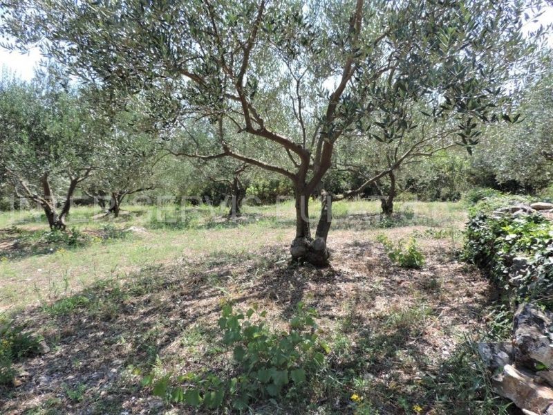 Terreno In vendita - ŠIBENSKO-KNINSKA  ŠIBENIK 
