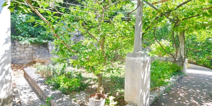 Hiša Naprodaj - Dubrovačko-neretvanska Dubrovnik - foto 4/24